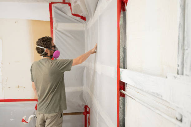 Best Forensic Mold Investigation  in Waterloo, NE