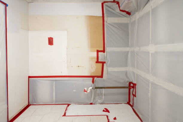 Best HVAC Mold Inspection and Cleaning  in Waterloo, NE