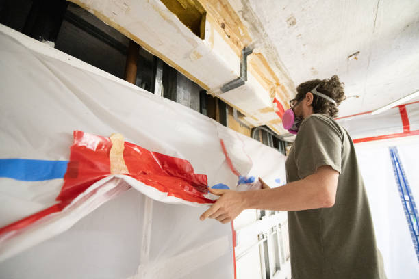 Best Black Mold Removal  in Waterloo, NE