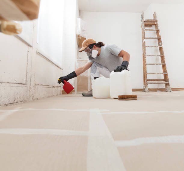 Best Airborne Mold Testing  in Waterloo, NE