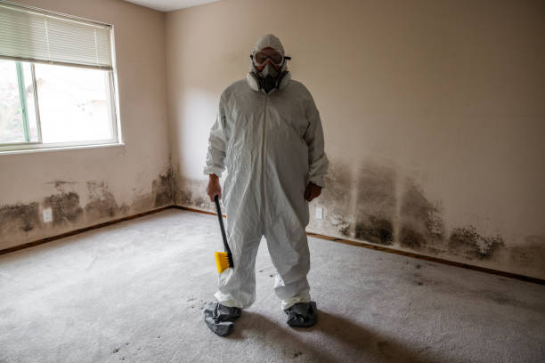 Biohazard Mold Removal in Waterloo, NE